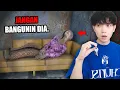 Download Lagu JANGAN SAMPE NENEK ini BANGUN dari TIDURNYA. - Stasiun Kalimedi Agung: No Way Home