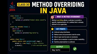 Java - 30 Method Overriding program Explained in Malayalam JAVA