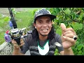 Download Lagu Ngusep deui