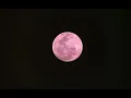 Laisse moi t’aimer -Laurie Darmon