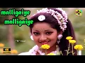 Download Lagu மல்லிகையே மல்லிகையே | Malligaiye Malligaiye Video Song 4k | K. S. Chithra | K.J.Yesudas | Ilayaraaja