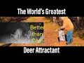 The World s Greatest Deer Attractant Better than Corn