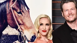 Blake Shelton GUSHES Over Gwen Stefani Buys Her a Horse