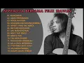 Download Lagu Felix Irawan [Full Album Cover Kenangan Akustik ]‼️