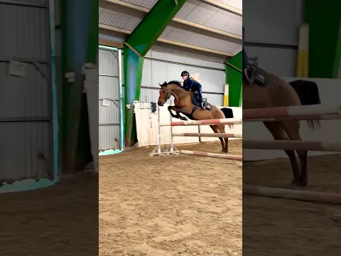 TRYING A NEW HORSE😱 #shorts #horse