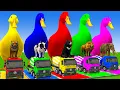 Download Lagu 5 Giant Duck Cartoon,Cow,Mammoth,Dog,T-Rex,Lion,Tiger Paint Wild Animals Crossing Fountain Animation