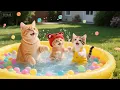 Download Lagu Kittens Filled Our Bathtub with Orbeez! 🛁 Mom's Reaction is Heartwarming ❤️ | Cute Cat Animation