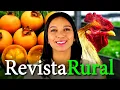Download Lagu PROGRAMA REVISTA RURAL - 22/06/2025