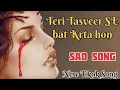 Lagu Teri Tasveer Se bat krta hon | #teriTasveersebatkrtahon | Slow Verb | Heart Touching New song