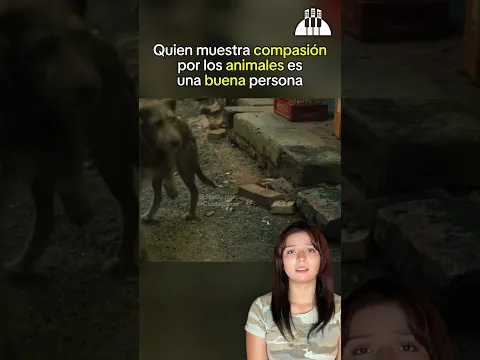 La forma en que tratas a los animales dice mucho de ti 🙏❤️ #ciudadsion