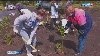 В Омске приступили к уборке улиц от мусора и весеннему благоустройству территорий