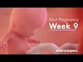 9 Weeks Pregnant - What to Expect