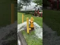Fire Sprinkler Systems Hydrant inspection Exelent condition
