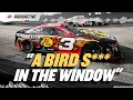 NASCAR Radioactive 2026 Bristol Motor Speedway