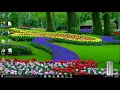 aggregate functions Sum Avg Count Count Min Max in sql server urdu hindi dbms 11