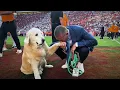A tribute to Ben Herbstreit College GameDay