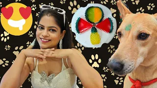 Which is Aura's favorite toy ?🧸🐕💕 #doglover #dogvideo #viral
