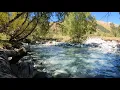 Download Lagu Amazing Woodland Symphony, Melodious Birdsong, Gentle Water Sound, Relaxing Sounds ASMR