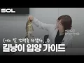 Download Lagu 길냥이 길고양이 입양 가이드 | 냥줍부터 합사까지, 초보 집사가 꼭 알아야 할 5가지 Q\u0026A | 24시 솔동물의료센터