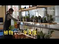 植物たちの冬支度｜植物棚を設置して私たちの4つのこだわりポイントをご紹介します