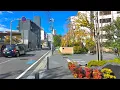 TOKYO Aoyama-Itchome Walk - Japan 4K HDR