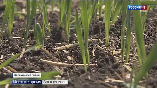 «Итоги недели», эфир от 29 мая 2022 года