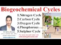 Biogeochemical Cycles Oxygen Phosphorous Sulphur Cycle