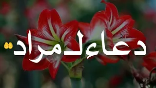 أجمل دعاء بأسم مراد   دعاء يريح القلب دندنها