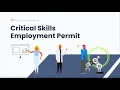 What is a Critical Skill Employment Permit in Ireland