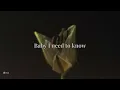 STELLA LEFTY - Lean In, Kiss Me | Lyrics