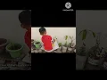 Download Lagu PLANTING SEEDS OF HAPPINESS ☘️🌹🪻🌿 I #shorts #skills #@shwetasadaka3606