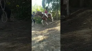 ١٧ أكتوبر ٢٠٢٢ 