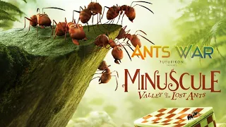 ants war minuscule the valley of the lost ants 2013 