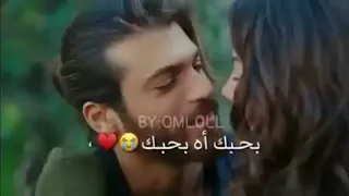 بحبك اه بحبك ودايب فيكي اجمل حالات واتس اب  بحبك اه بحبك ودايب فيكي اجمل حالات واتس اب