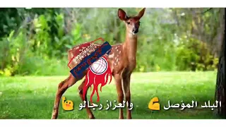 جديد الفنان صديق عمر جمال الجزيرة علي قناه أحمد صالح المغربي 