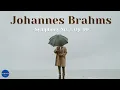 Download Lagu Johannes Brahms - Symphony No. 3, Op. 90  Part: III. Poco Allegretto