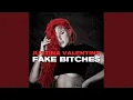 Download Lagu Fake Bitches