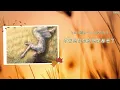 【中日歌詞】ヨルシカ (Yorushika) - 『チノカテ (Chinokate)』【日劇 魔法翻新/魔法のリノベ 主題歌】