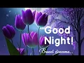 Good night photos Best good night picture