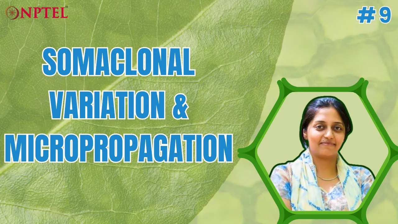 #9 Somaclonal variation and Micropropagation | Plant Cell Bioprocessing