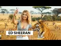 Download Lagu Ed Sheeran - Dive [Lyrics] Fun Times with Celebrities Edition | Showroom Partners Entertainment