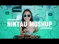 Download Lagu NINTAU MASHUP !!! ( ARMANDO AMANGA ) REMIX 2025