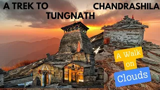 Download Tungnath Chandrashila Trek - A walk in the Clouds MP3