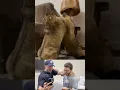 Download Lagu BTS: Epic Prairie Dog Fight Takes a WILD Turn! 😂🐿️