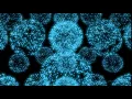 Blender 2 75 - Python Aided Animation