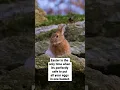 Happy Easter Read More