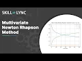 Multivariate newton Rhapson Method - CFD Analysis Course Demo