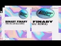 Binary Finary - 1998 (Victor Ruiz Extended Remix)