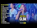 Download Lagu Diva Hani - CLBK, Andai Tak Berpisah | Full Album Dangdut Koplo Terbaru 2025