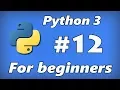 Python 3 for beginners ep12 - Defining and calling a function